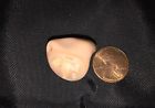 1218a55e Pronak Phonak Cassia In The Ear Hearing Aids Left Only