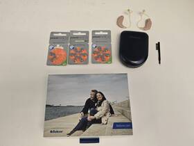 Ay276-dw Beltone Ay366-dw Beige Ear Hearing Aids With Case