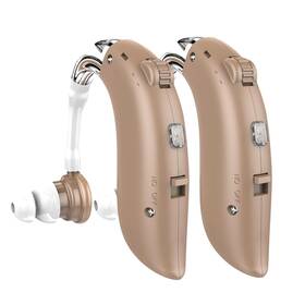D10bte-c-bg Dellona Rechargeable Hearing Aids With Type-c - For Seniors Severe Hea