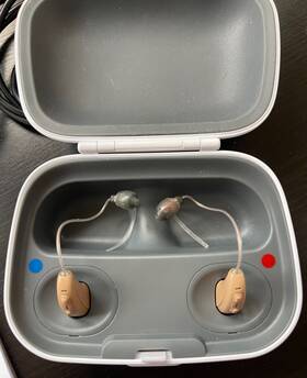 2126n2t0u Kirkland Signature Premium Bluetooth Hearing Instruments Ks 10.0t Beige