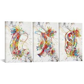 Ym100562 Kreative Arts Ear Anatomy Canvas Wall Art Set Of 3 Hearing Aid And Cochlear I