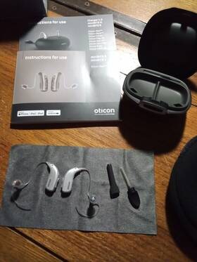 255942 Oticon 240 Real 2 Minirite R Hearing Aids