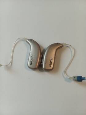 Real1 Oticon Oticn Real1-miniriter Rechargeable Hearing Aids Mild To Severe Losses