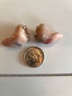 Rx34 Rexton Set Of Dir Vc Ite Hearing Aids