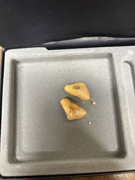 06n050185 Siemens Hearing Aids With Case... Pre-owned Right And Left Damage