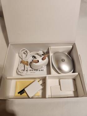10994002 Signia Pure C And G 3ax Hearing Aids-rechargeable F16