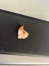 Siemens 99W046328L (left Side Only) Hearing Aid. Fixed Price $74.99.