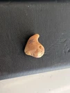 Danavox Dme Hearing Aid Left Side Only 97124730. Fixed Price $74.99.