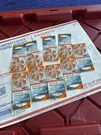 Powermax Hearrite Size 13 Hearing Aid Batteries, 54 Pcs Long-lasting. Fixed Price $19.90.