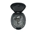 Siemens Signia Pure 0123 Hearing Aids L&r Tested Works. Fixed Price $299.99.