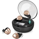Earhance Digital Hearing Aids Rechargeable Noise Canceling - Gold. Fixed Price $66.13.