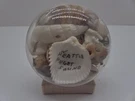 Vtg Seattle Puget Sound Seashell Dome Souvenir / Paper Weight Old Curiosity Shop. Fixed Price $14.25.