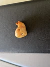 Siemens 99W046328R (left Side Only) Hearing Aid Untested. Fixed Price $34.99.