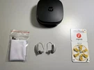 Widex Daily 100 Passion Micro Ric Hearing Aids. Fixed Price $445.50.