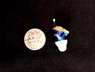 Brand New Tiny Hearing Amplifier Left Fit Up To 50 Below Norm Usa. Fixed Price $16.80.