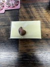 Rexton RX34 Hearing Aid. Fixed Price $40.00.