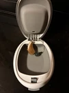 Starkey Microtech Summit I1000 Ric Hearing Aid Left. Fixed Price $250.00.