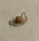 Starkey Hearing Aid (1) 17-16-421667 Untested. Fixed Price $39.99.