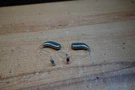 (h) Oticon Real 1 Minirite Silver Pair Digital Hearing Aids No Charger. Fixed Price $399.85.