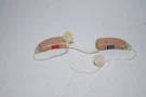 Pair Rexton Insite Free Hearing Aids CE0123 Needs Cleaning & Calibration. Fixed Price $90.24.