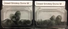 Packs Of Closed Smokey Domes Medium For Phonak Hearing Aids. 20 Total.. Fixed Price $15.99.
