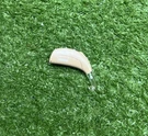 Phonak Ambra Microp Behind The Hearing Aids Beige Right Only. E1. Fixed Price $23.96.